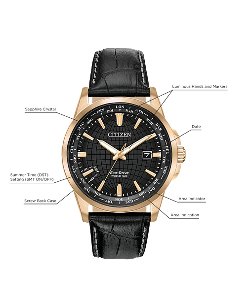 Citizen world timer best sale